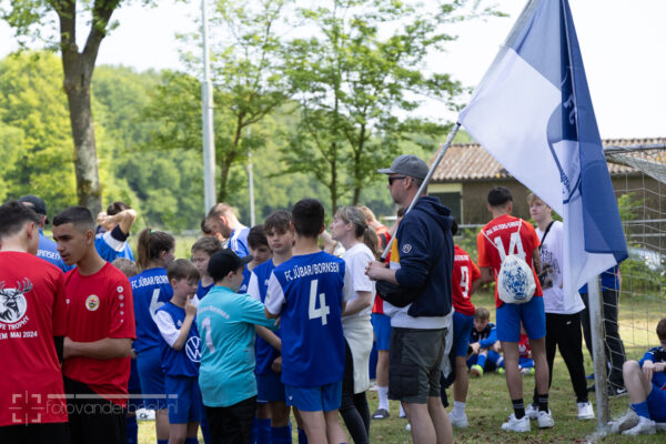 VELUWE TROPHY-7814