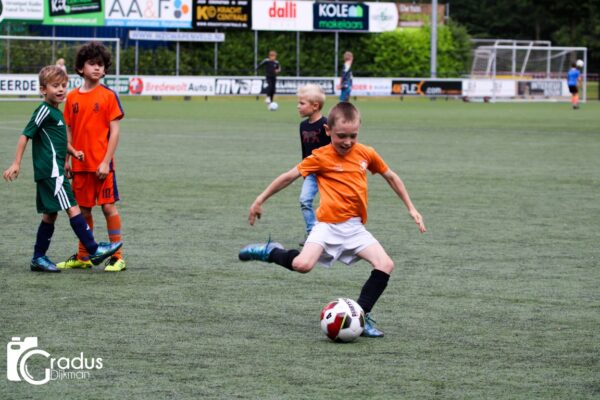 IMG_3530
